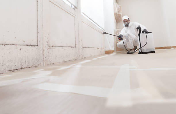 24/7 Emergency Mold Cleanup experts in Morganville, NJ