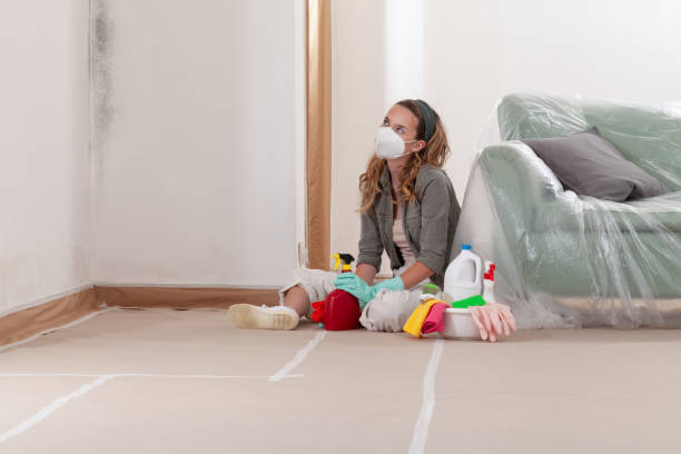 Reliable Mold Cleanup contractor in Morganville, NJ by WQB Mold Removal
